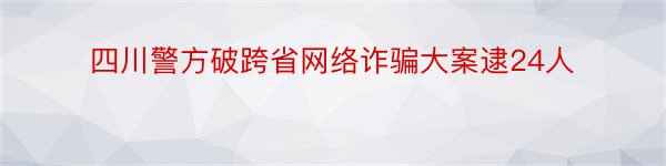 四川警方破跨省网络诈骗大案逮24人