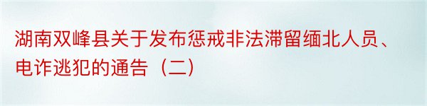 湖南双峰县关于发布惩戒非法滞留缅北人员、电诈逃犯的通告（二）