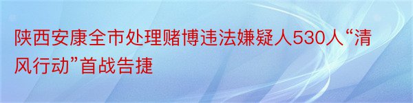 陕西安康全市处理赌博违法嫌疑人530人“清风行动”首战告捷